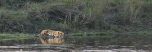 Kanha National Park,Bhedaghat,IT services provider,Kanha National Park,Bhedaghat,IT services provider