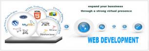 Website development,,Ecommerce,Logo designing services